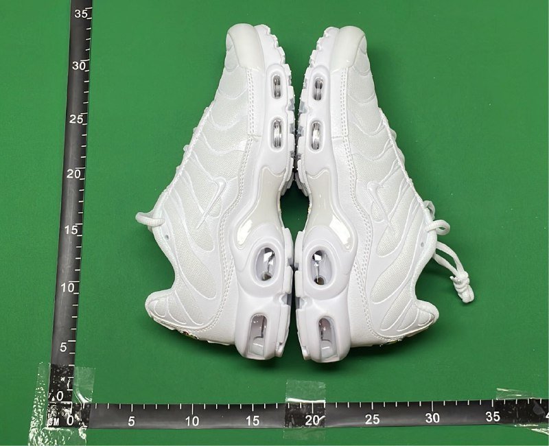 Nike Air Max Plus Sneakers [40 styles]