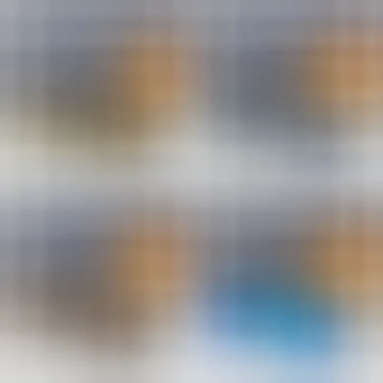 Louis Vuitton Shield Sunglasses [4 styles]