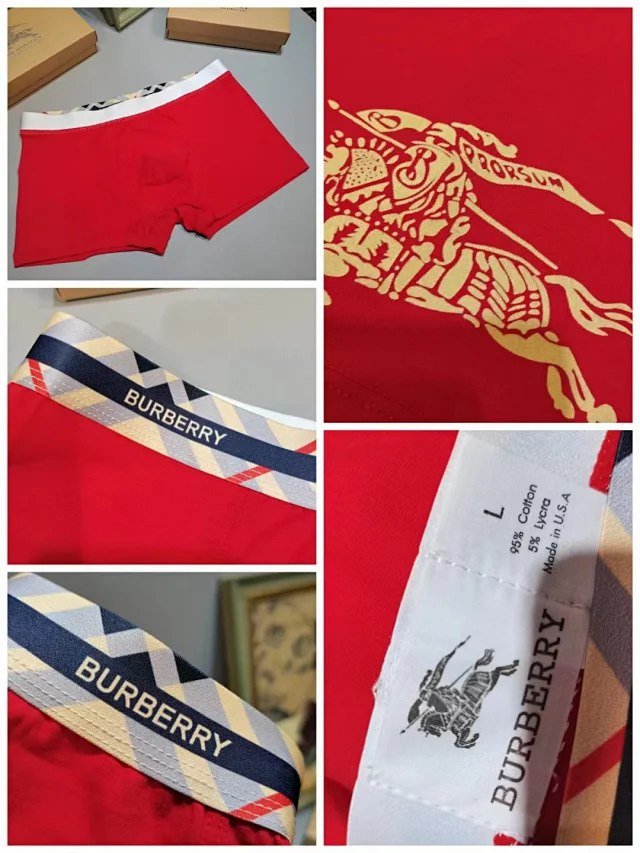 Burberry Warhorse Logo Boxer Briefs [3 styles]