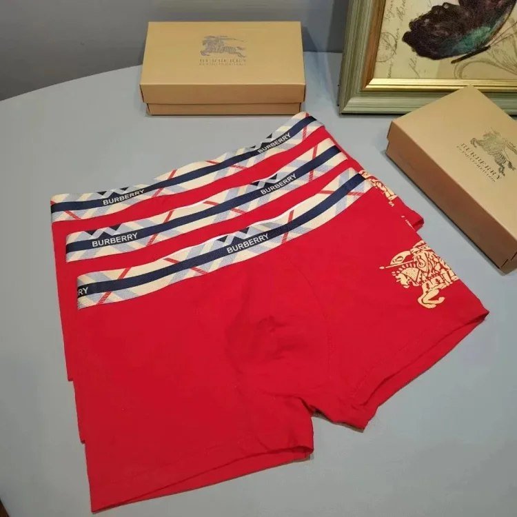 Burberry Warhorse Logo Boxer Briefs [3 styles]