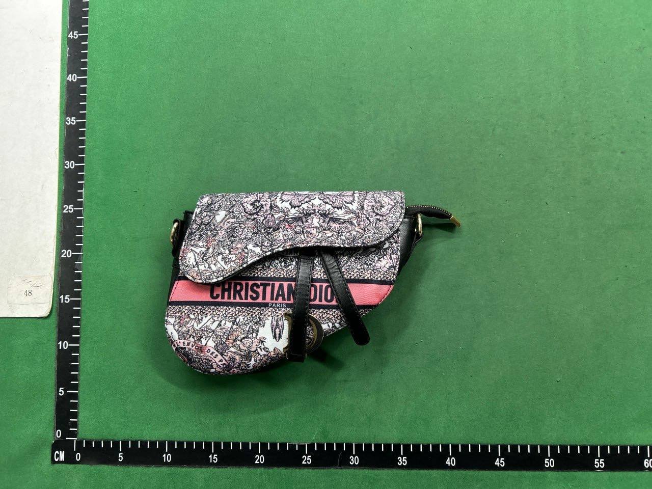 Dior Saddle Bag [40 styles]