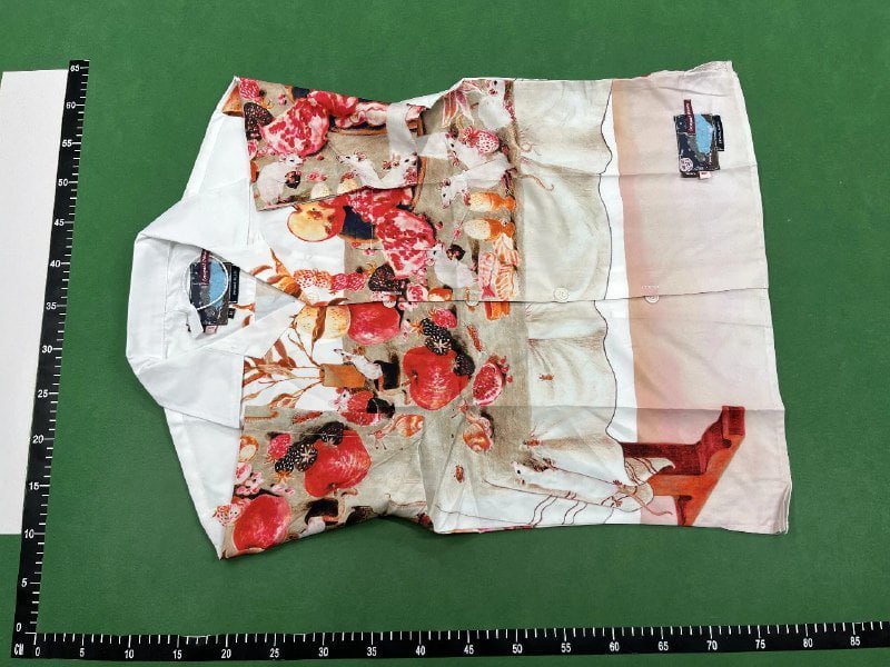 Prada Tiger Logo T-Shirt [38 styles]