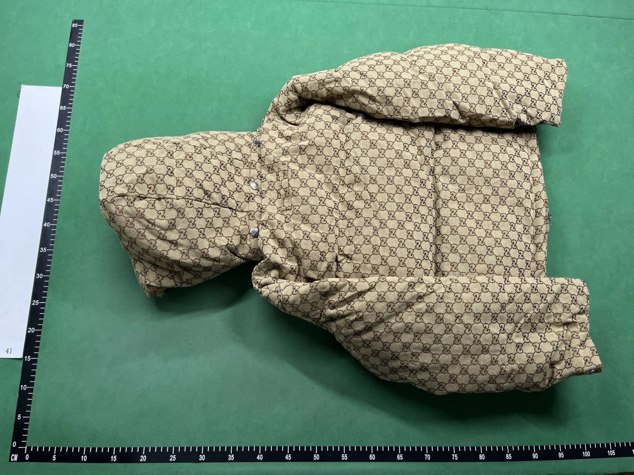 The North Face x Gucci Puffer