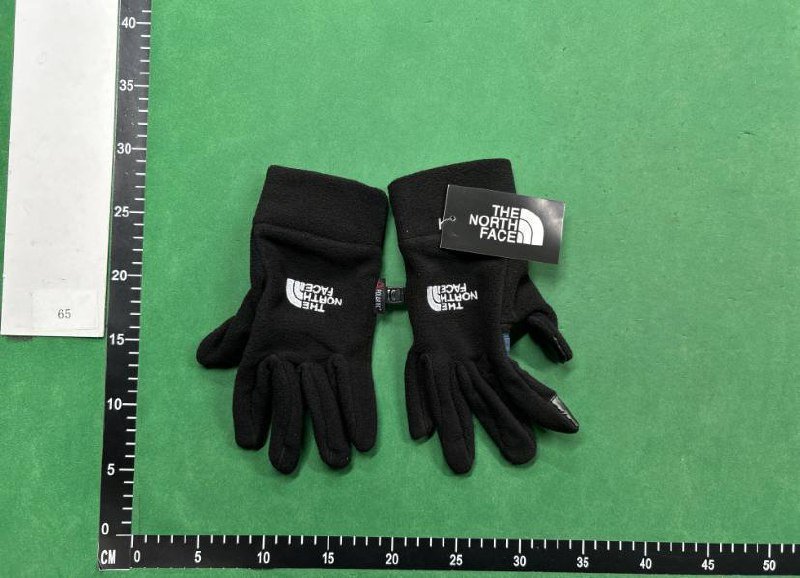 The north face gloves