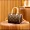 Louis Vuitton Speedy
