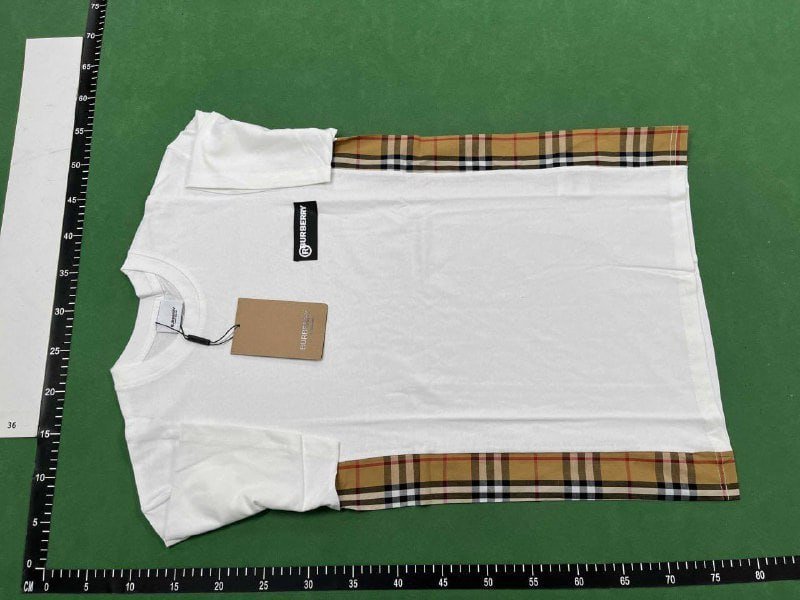  Burberry T-shirt  (22 CP)
