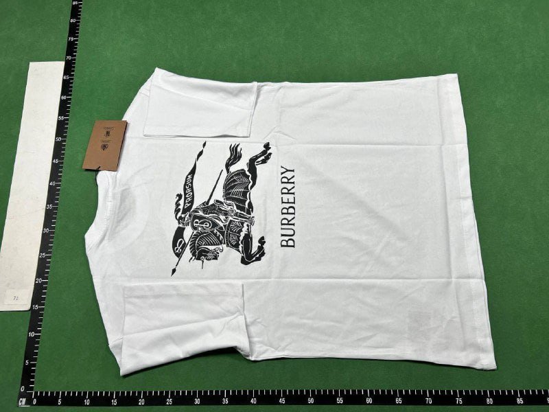  Burberry T-shirt  (22 CP)