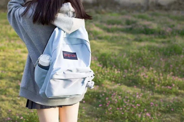 JANSPORT SuperBreak Backpack [29 styles]