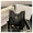 Selena Fashion Bag