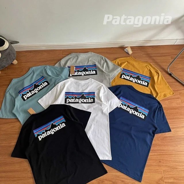 best 11Patagonia TEE