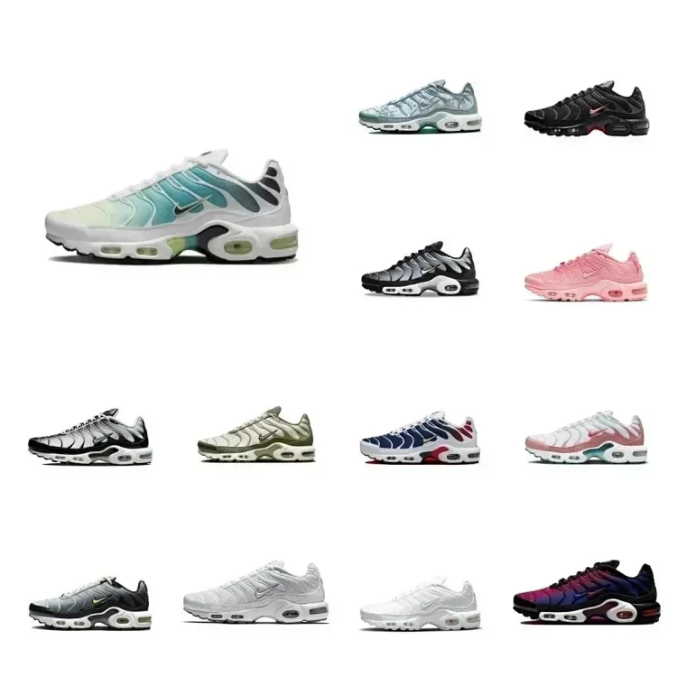 Nike air MAX TN（40 s