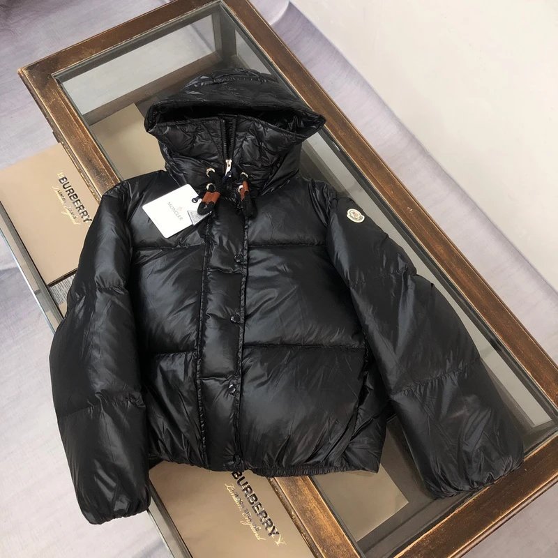 LV Louis Vuitton & Moncler down jacket